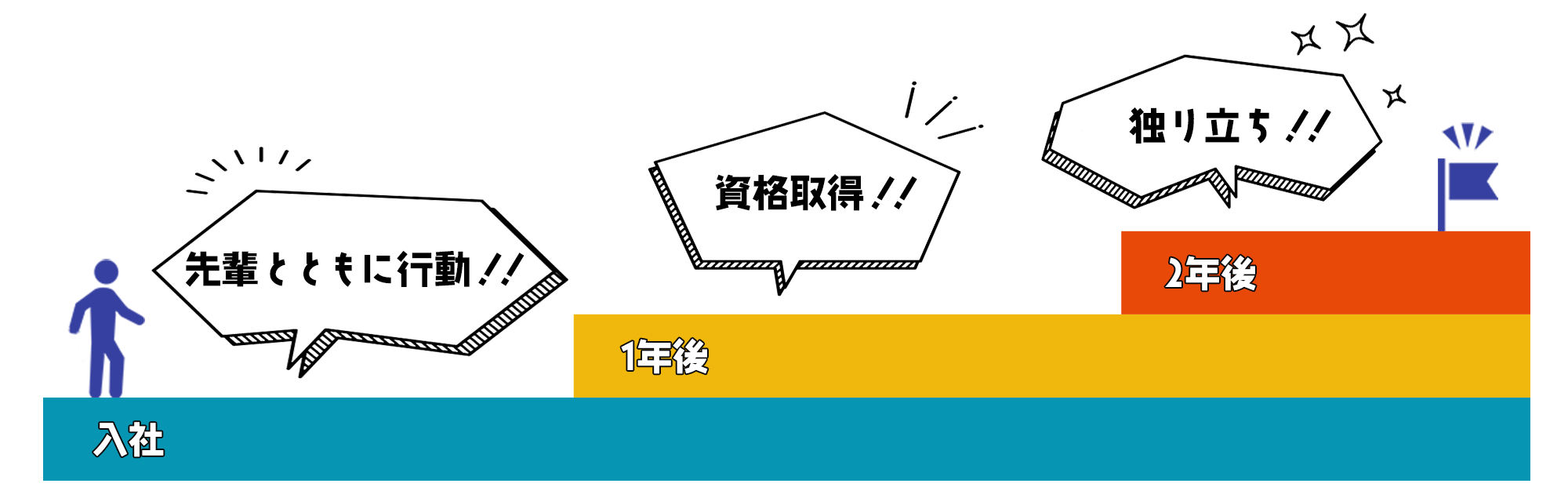 教育制度・キャリアパス