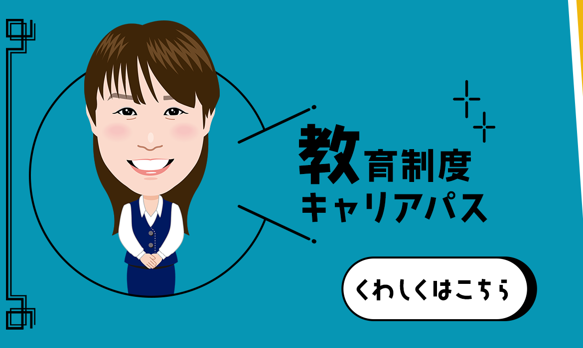 教育制度 キャリアパス
